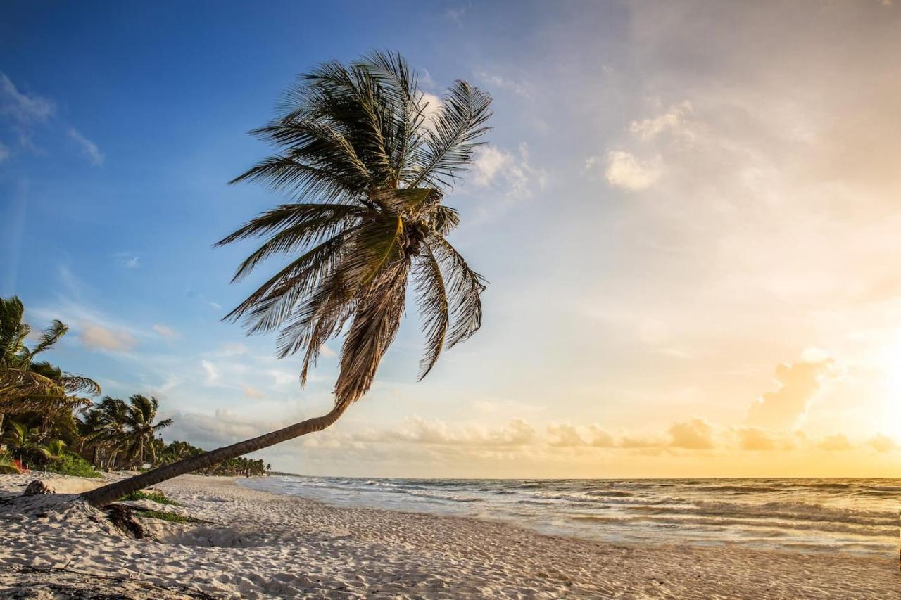 Hidden Treehouse Tulum Eco-Hotel Exterior photo